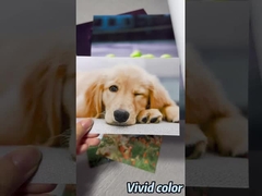 Premium Luster Fotopapier Rol voor Epson / Canon / HP Grootformaat Printers