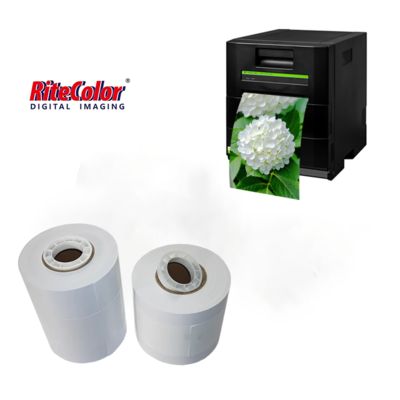 Groothandel Drylab Inkjet Glosser Printing Fotopapier Roll 260gsm