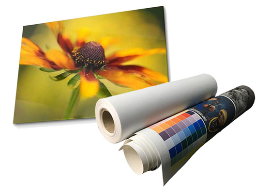 Latex Matte Waterproof Polyester Canvas Roll Eco Oplosbare 280gsm